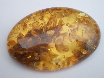 Polished amber cabochon - baltic amber cabochons wholesale