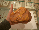 Massive amber lump - natural Baltic amber lump